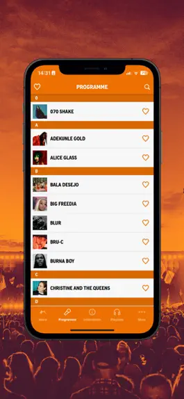 Game screenshot Roskilde Festival hack