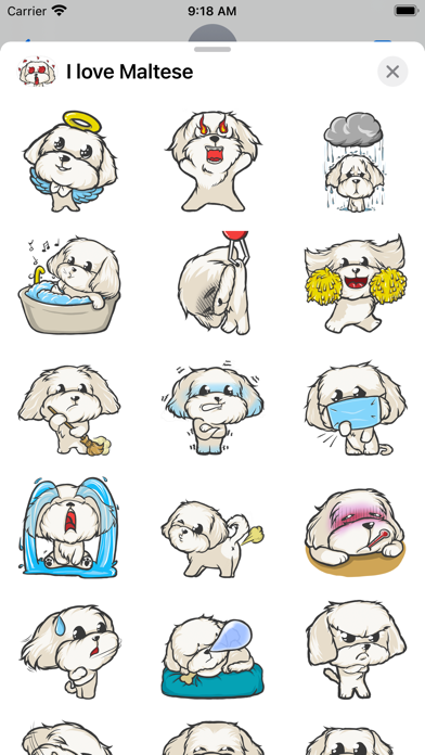 Cutest Maltese Puppy Sticker Screenshot