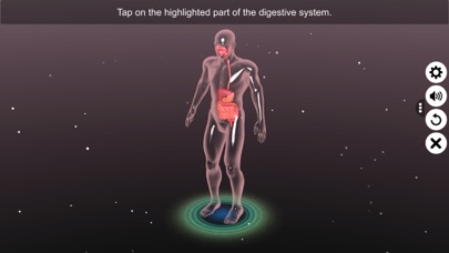 3D Human Digestive System Screenshot