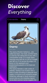 Bird ID: Identify Birds screenshot
