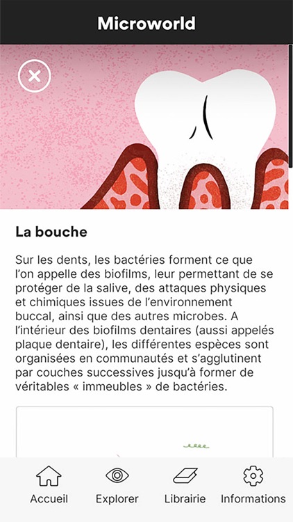 Microworld screenshot-5