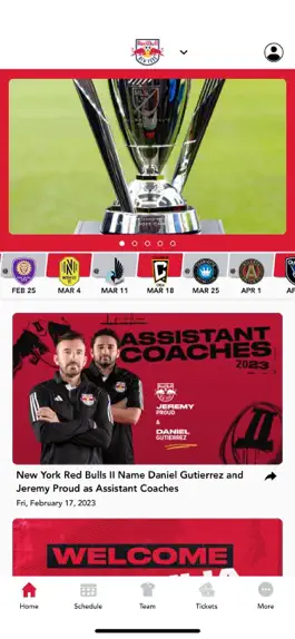Game screenshot New York Red Bulls apk