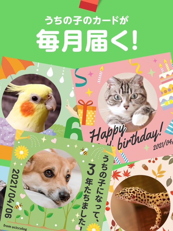 うちっ子ログ:犬や猫のペットお世話日記＆健康管理アプリのおすすめ画像6