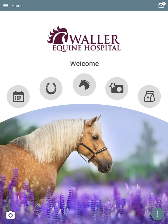 Screenshot #4 pour Waller Equine