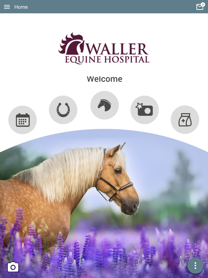 Waller Equine
