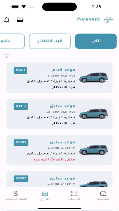 PurenesS car wash Screenshot