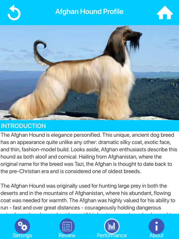 Screenshot #5 pour Dog Breeds Guide & Quiz