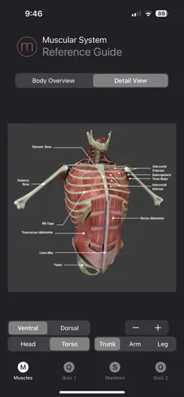 Game screenshot Human Anatomy Study Guide hack