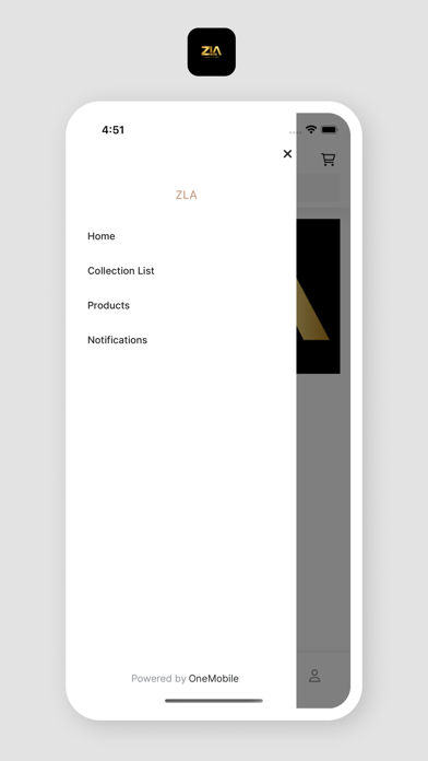 ZLA Screenshot