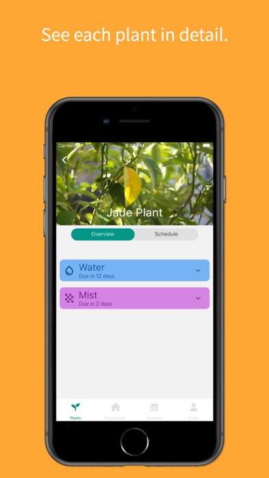 Plant Care Screenshot