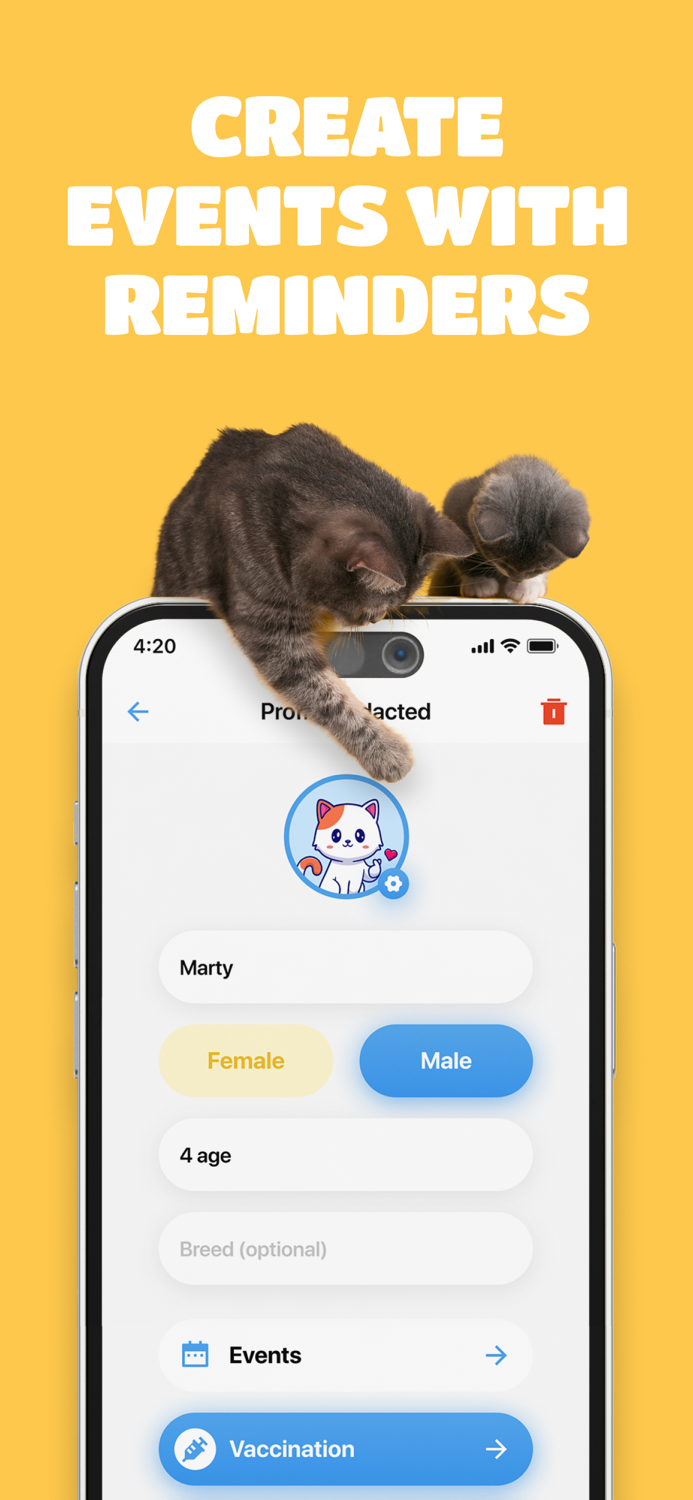 Cat Training • Human and meow