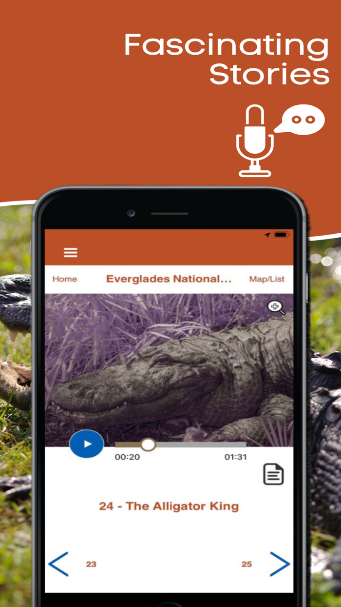 Everglades National Park Tour