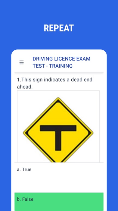 Driving License Exam Japan Screenshot