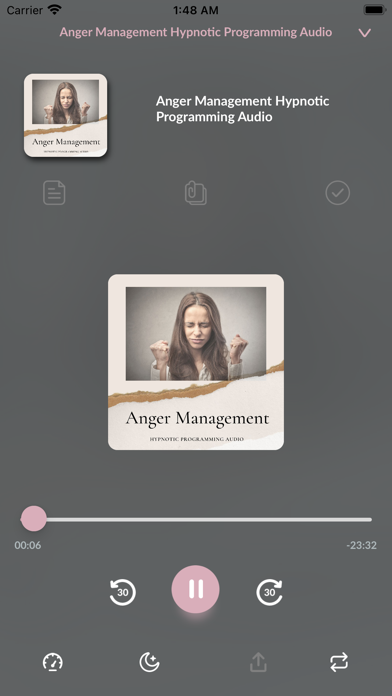 Erika Hypnotherapy Screenshot