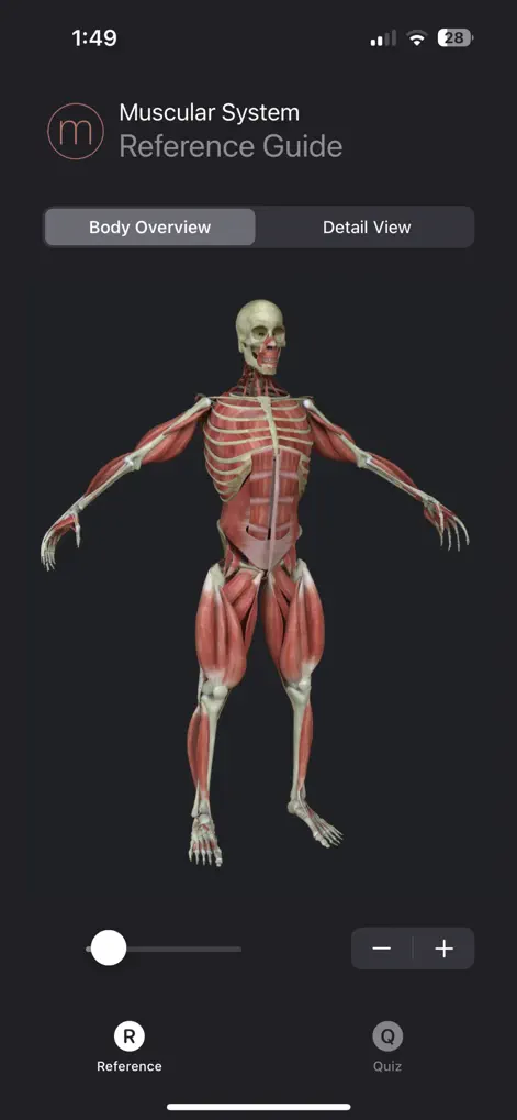 Muscle Study Guide - Medical App | MWM