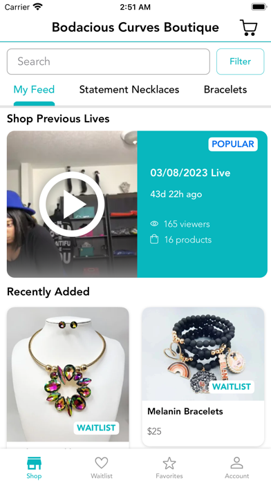 Bodacious Curves Boutique Screenshot