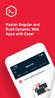 learn angular coding offline problems & solutions and troubleshooting guide - 1