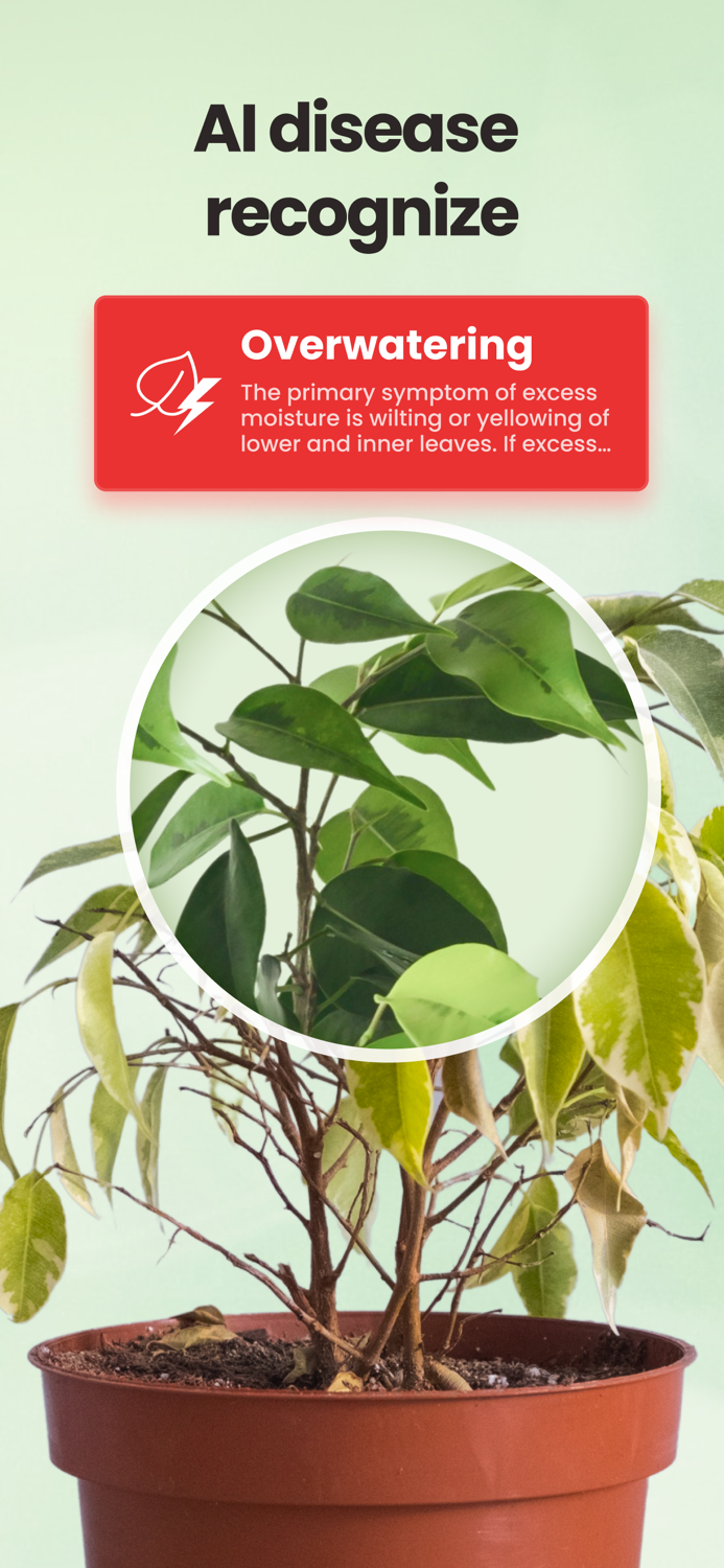 PlantSaver - Plant Identifier