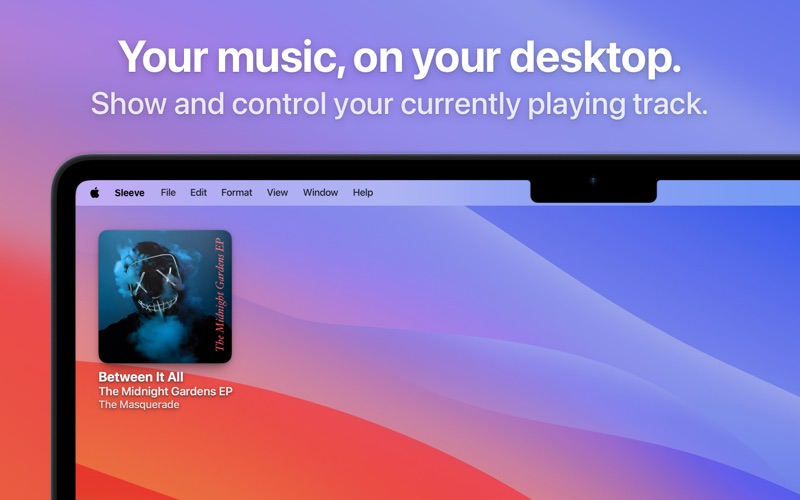 Sleeve for Spotify, Music Screenshot