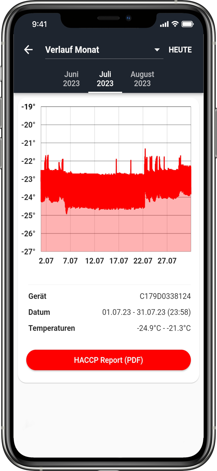 ggmgastro Thermometer