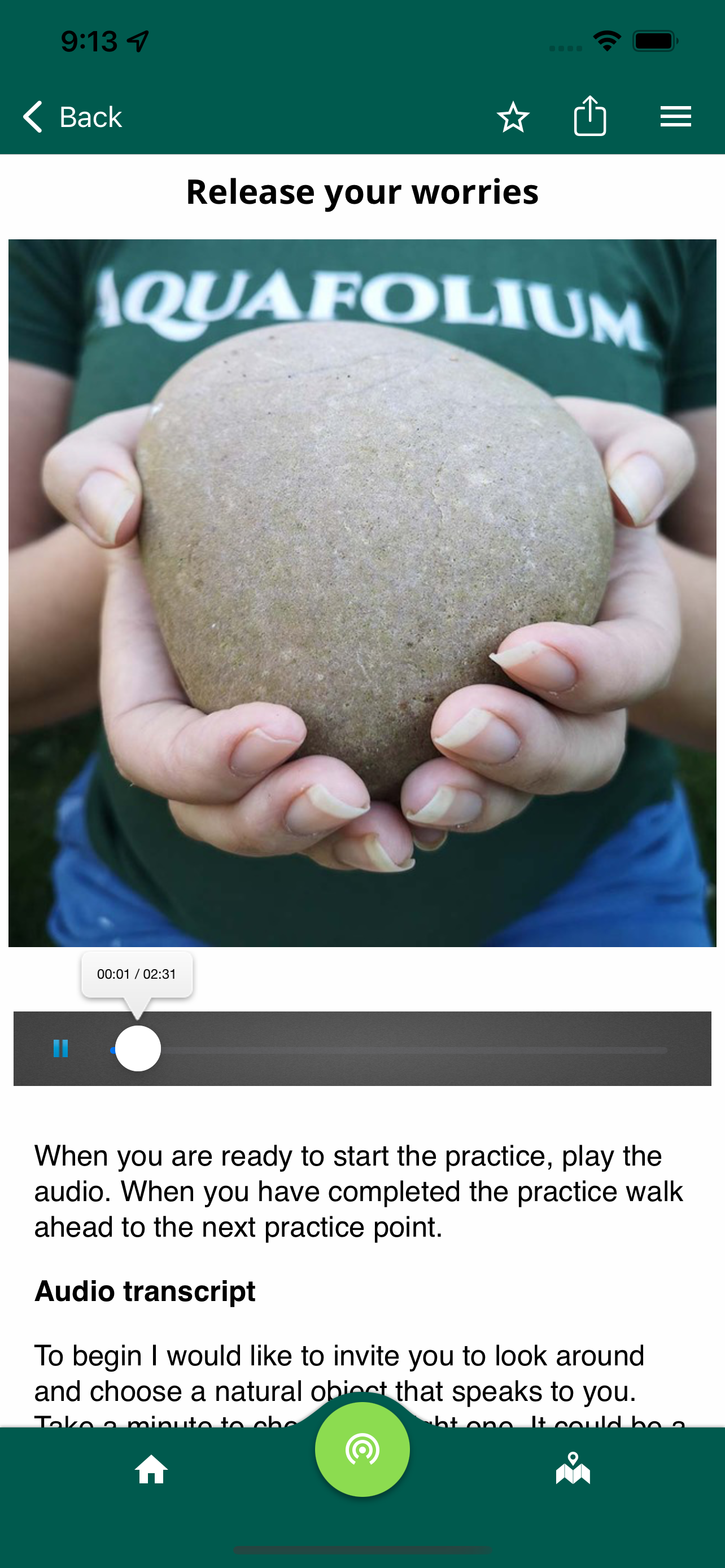 Fingle Woods screenshot 5