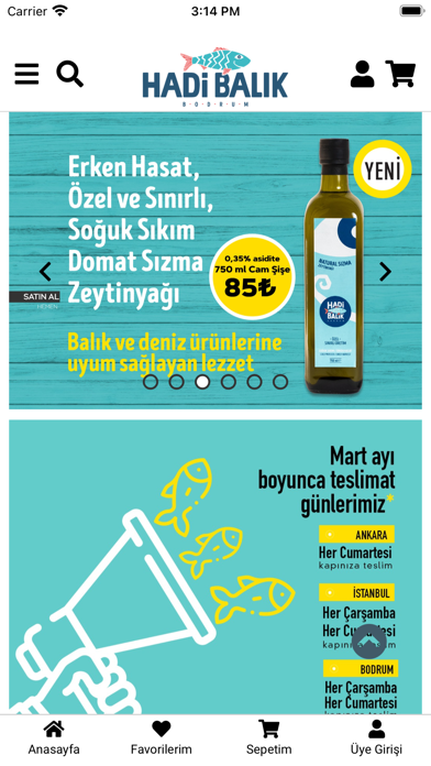 Hadi Balık Screenshot