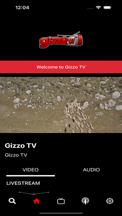 Gizzo TV Screenshot