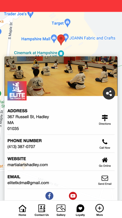 Elite Taekwondo Martial Arts Screenshot