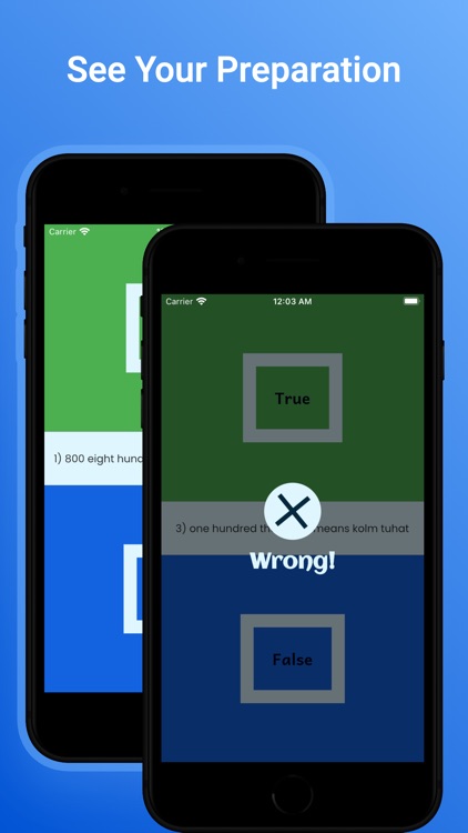 Estonian Learn: For Beginners screenshot-5