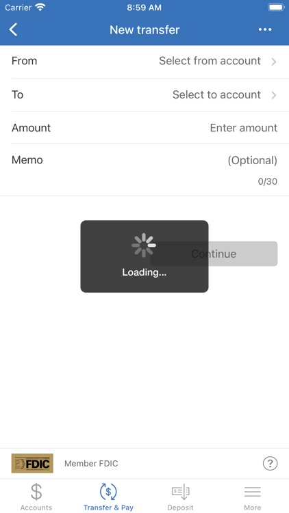 First Bank Blue Earth screenshot-4