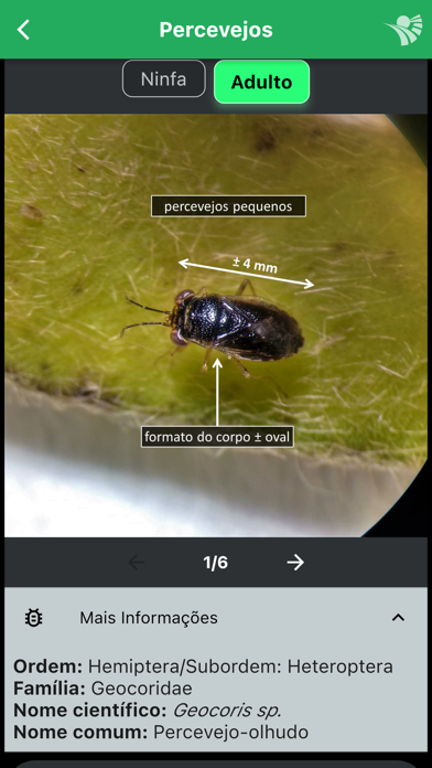 GID Inimigos Naturais Screenshot
