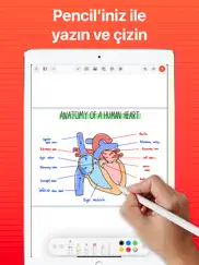 supernotes ipad resimleri 2