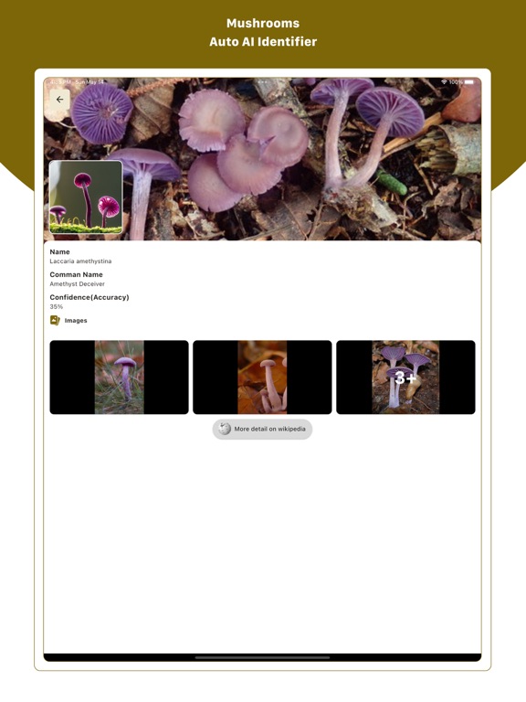 Screenshot #5 pour Mushroom ID : Identifier, Scan