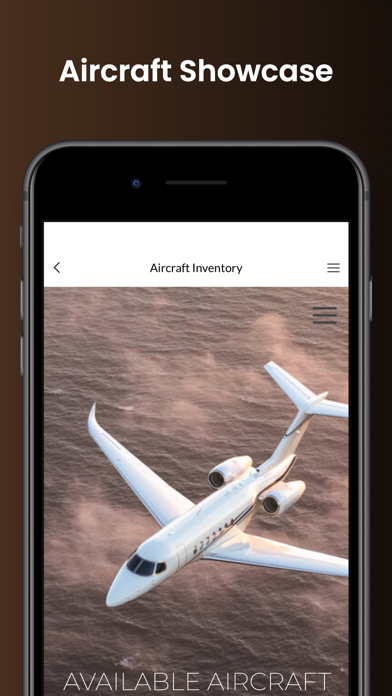 Holstein Aviation Screenshot