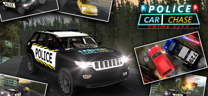 Police Car Chase  Hot Pursuit