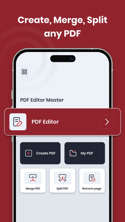PDF Editor Master