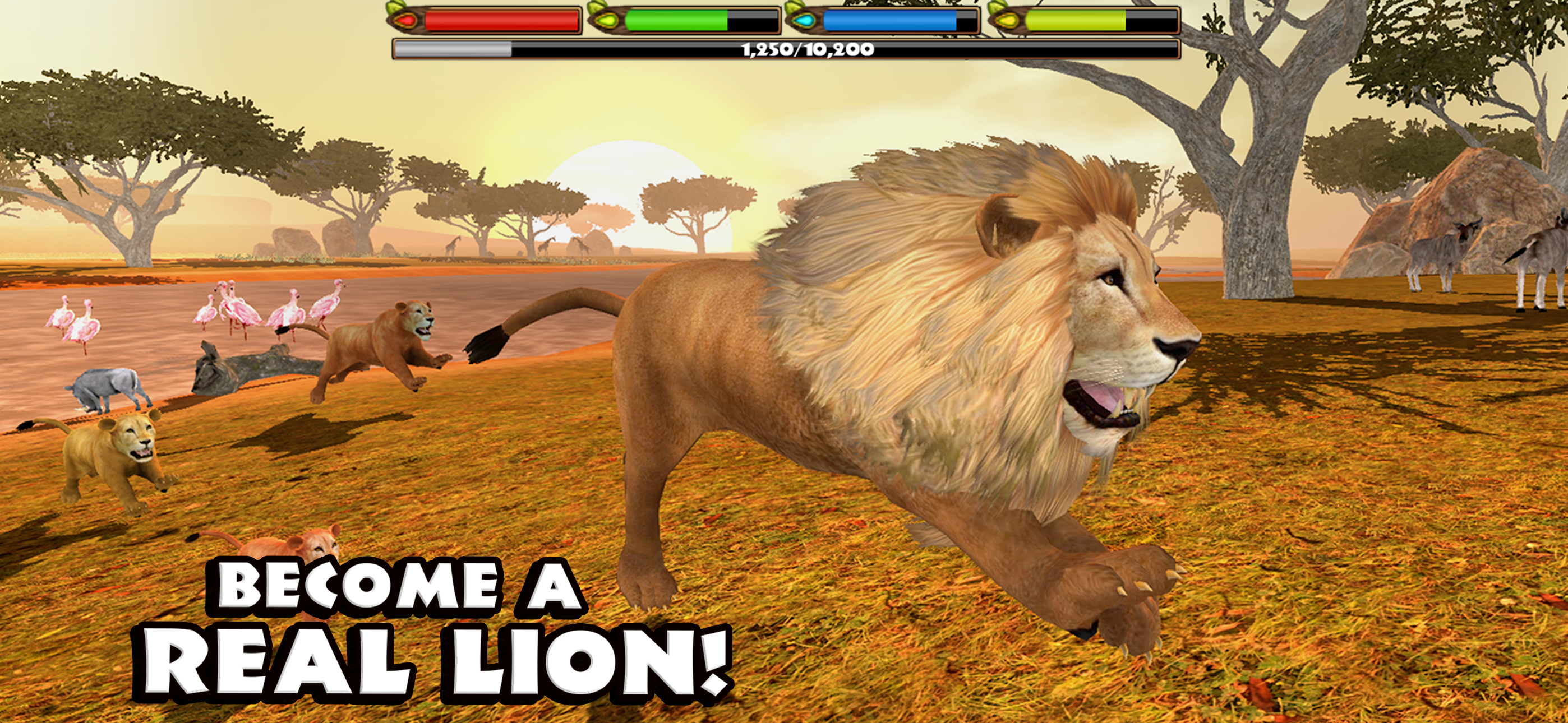 Ultimate Lion Simulator