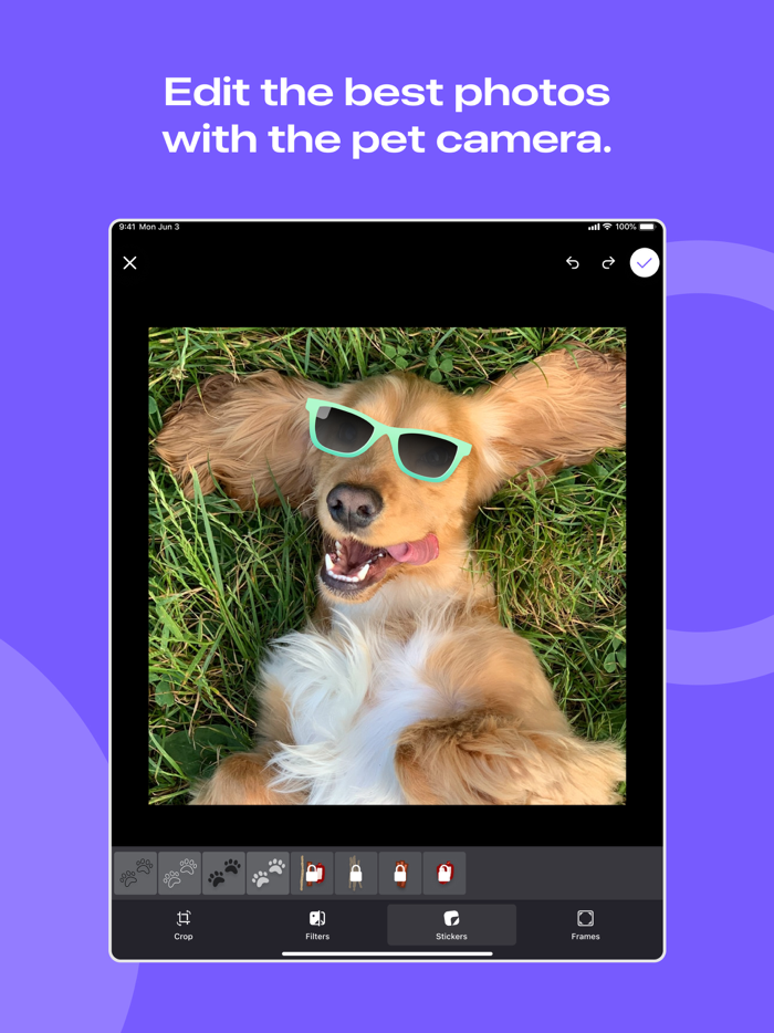 Flockr - Pet Wellness and Health