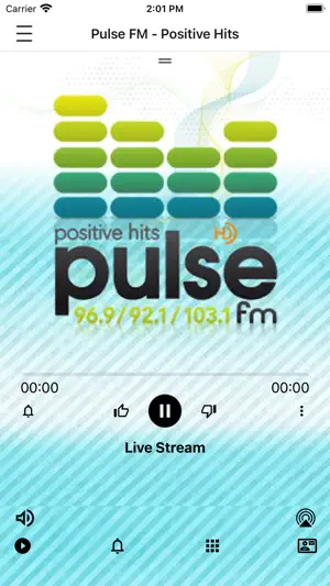 Pulse FM. screenshot 1
