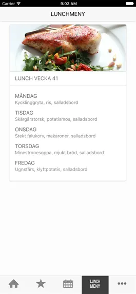 Game screenshot Österåkersbygdens friskola apk