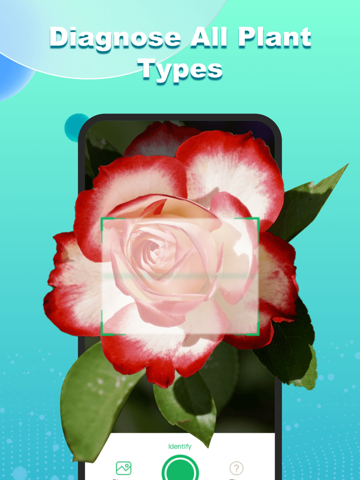 ChatPlant - Plant Identifier