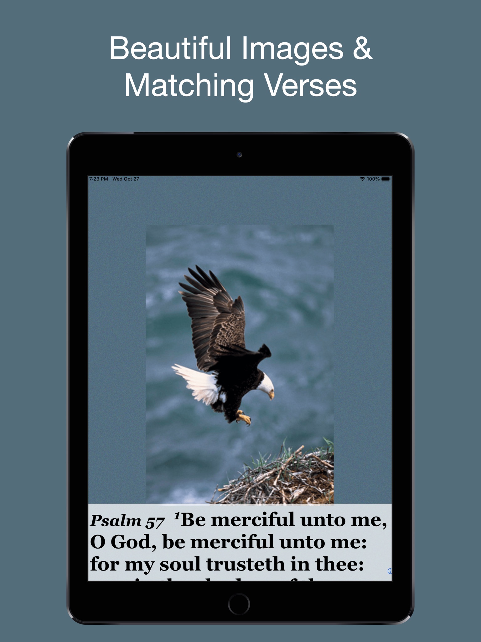 Psalm Daily Quotes KJV screenshot 2