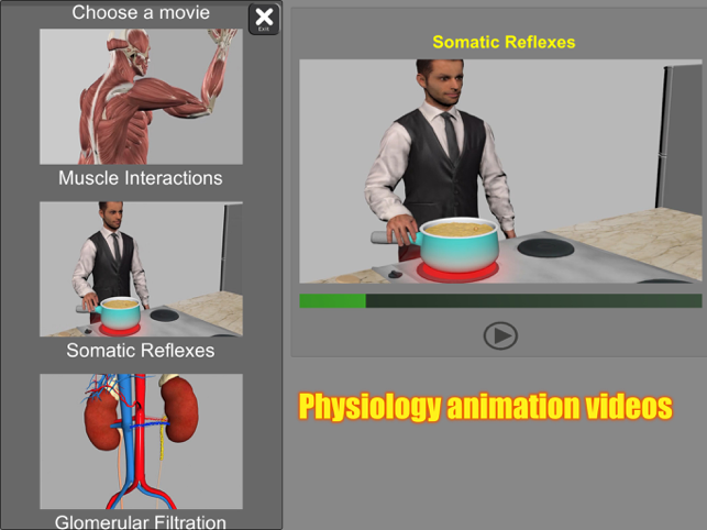 Captură de ecran de anatomie 3D