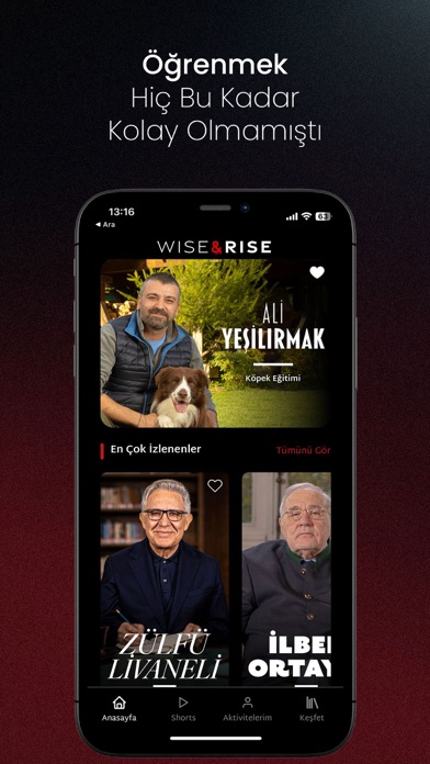 Wise&Rise Screenshot