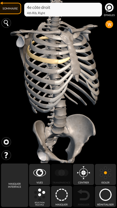Screenshot #2 pour Squelette Anatomie 3D