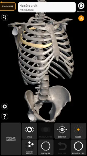 Capture d'écran de Squelette Anatomie 3D sur iPhone 2