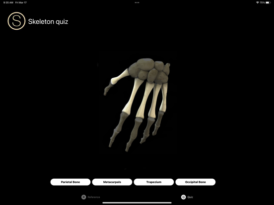 Screenshot #5 pour Skeleton Study Guide