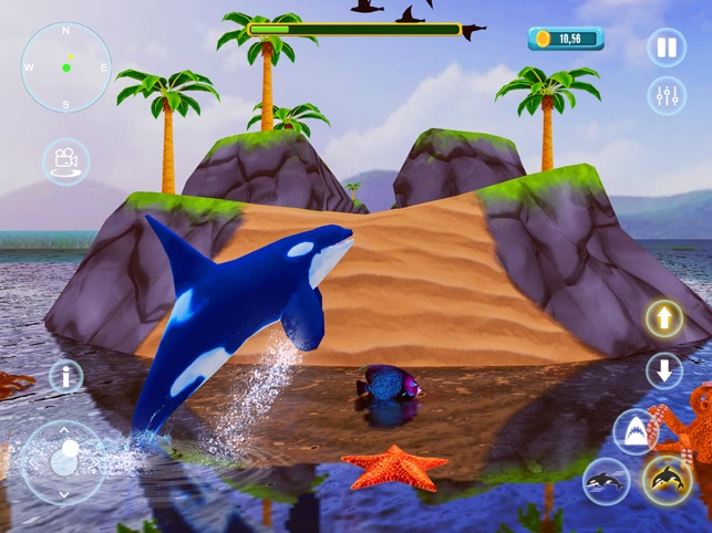 Orca Survival Simulator::Appstore for Android