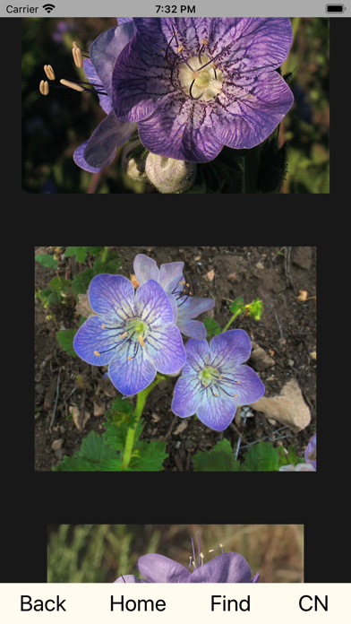 CNM WildFlowers Screenshot