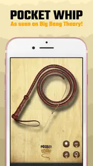 pocket whip: original whip app iphone screenshot 2